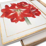 100311B_CASP_Kartenbox_10_10_Amaryllis_Detail_02_1500x1500