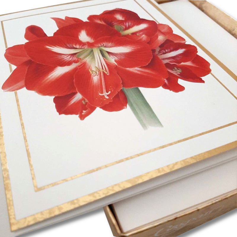 100311B_CASP_Kartenbox_10_10_Amaryllis_Detail_02_1500x1500