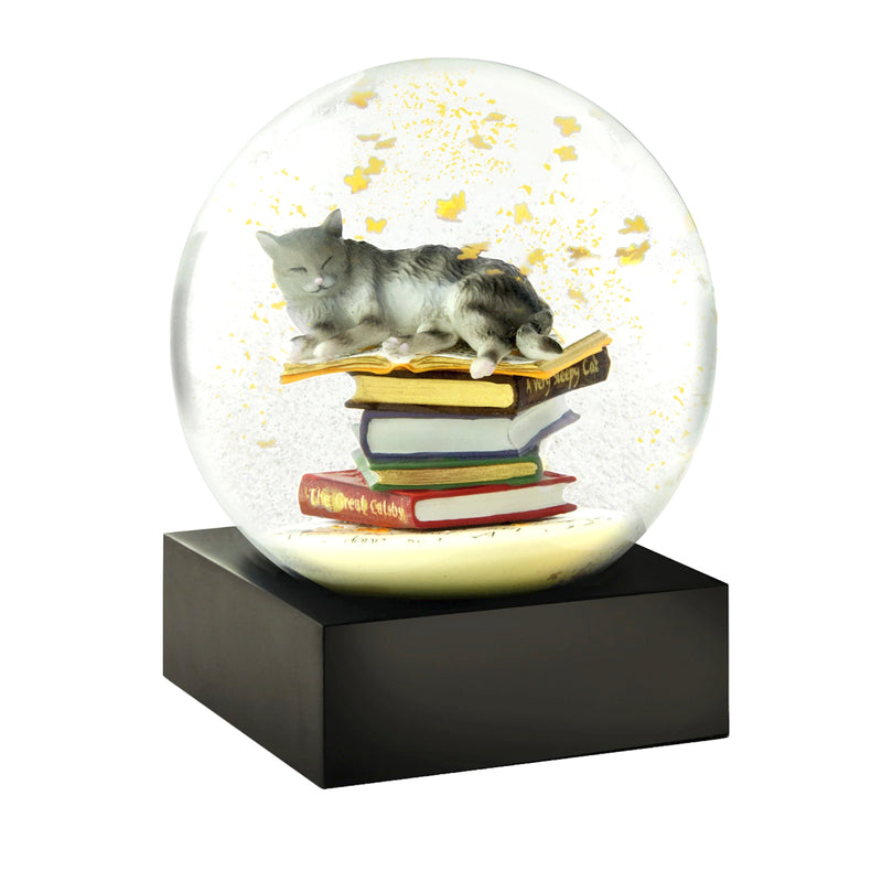 CS290-CATB_Schneekugel_Katze_auf_bunten_Buechern_VS01_1500x1500opXaZOhDoM772