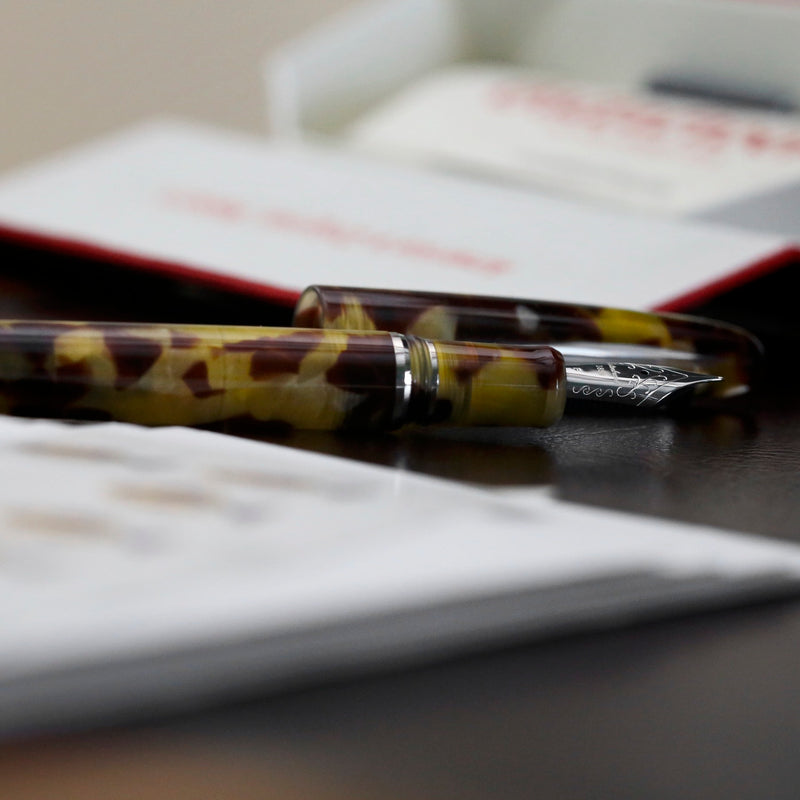 E126_Estie_TORT_silver_trim_FH_6_1500x1500