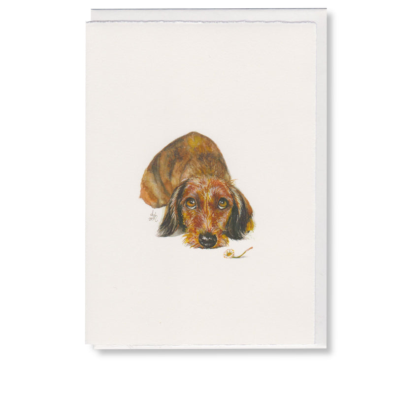 PAP12618_KK_WarmumsHerz_VS01_1500x1500